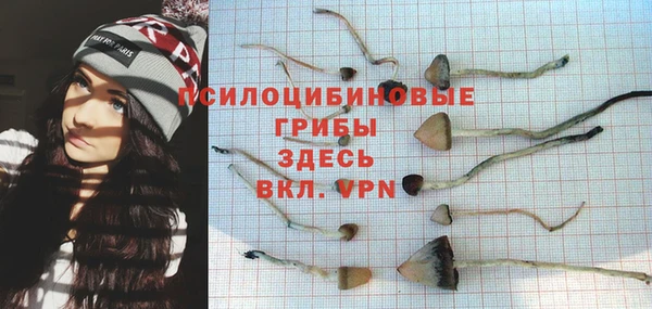 амф Беломорск