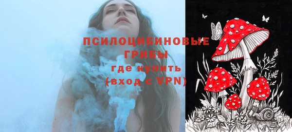 a pvp Белокуриха