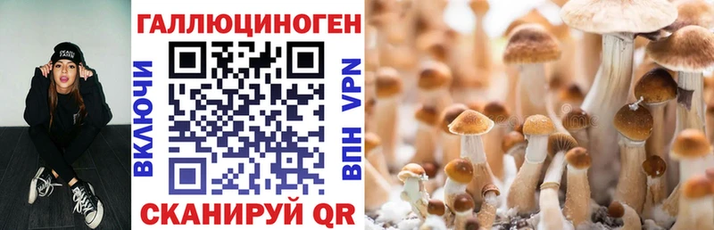 Галлюциногенные грибы GOLDEN TEACHER  Зверево 
